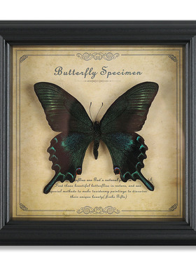真蝴蝶标本相框高端木质装饰画家居摆件欧式复古相框摆台