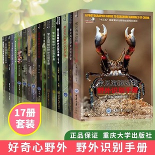重庆大学 海洋海贝鸟类两栖爬行动物螽斯蟋蟀图鉴生态摄影户外爱好者鉴别工具书 图文并茂 常见海滨动物野外识别手册 好奇心书系