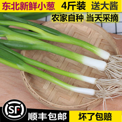 小葱蔬菜新鲜香葱农家自种现摘