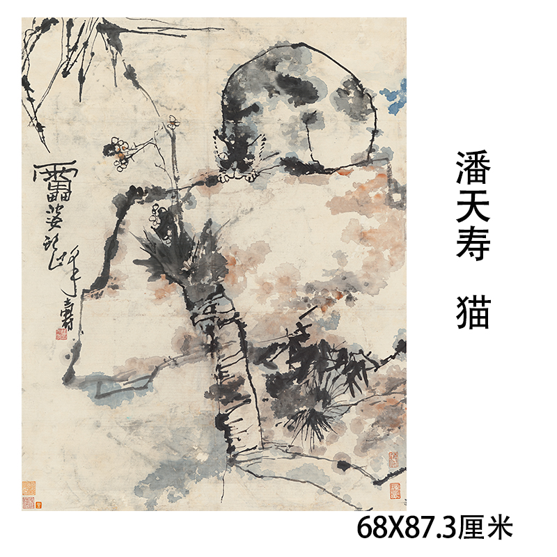 潘天寿-猫图近代名家水墨写意国画真迹微喷复制临摹学习画稿动物