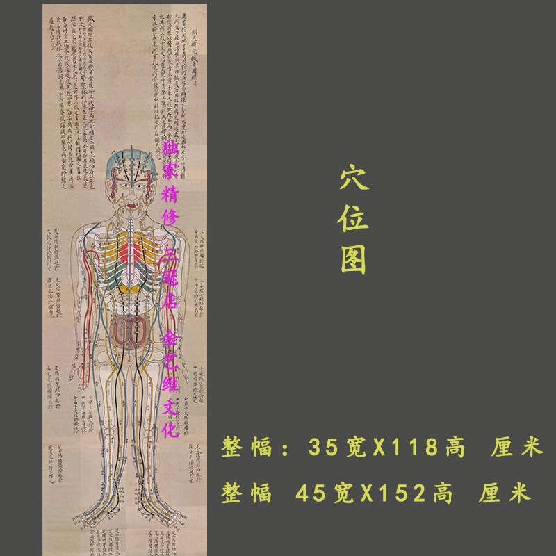 针灸穴位五脏六腑中医养生馆挂画