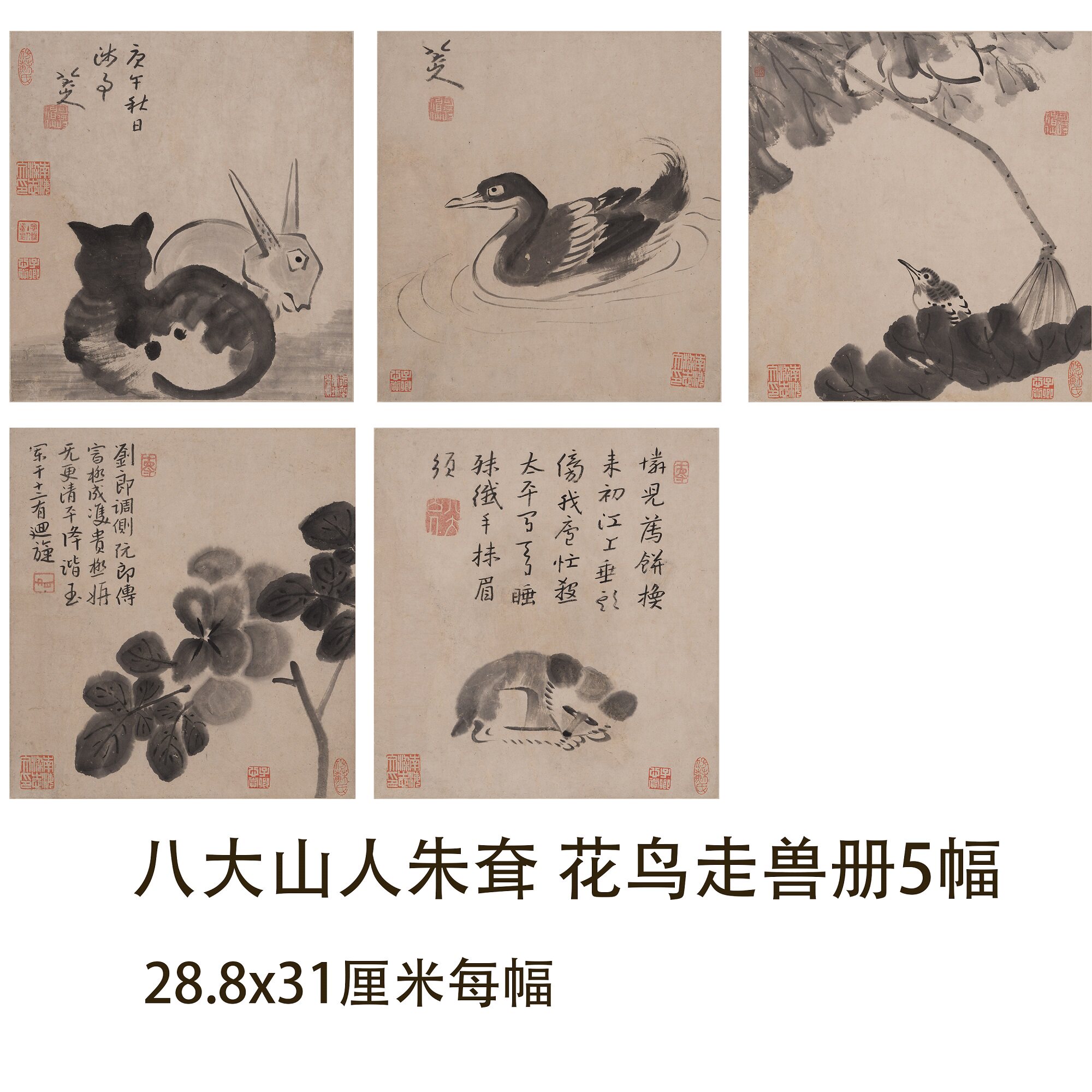 八大山人朱耷花鸟走兽画册5幅名家国画真迹微喷复制临摹学习画稿
