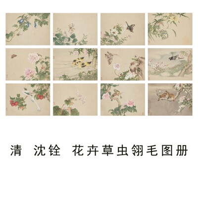 清沈铨工笔花卉草虫翎毛图册微喷