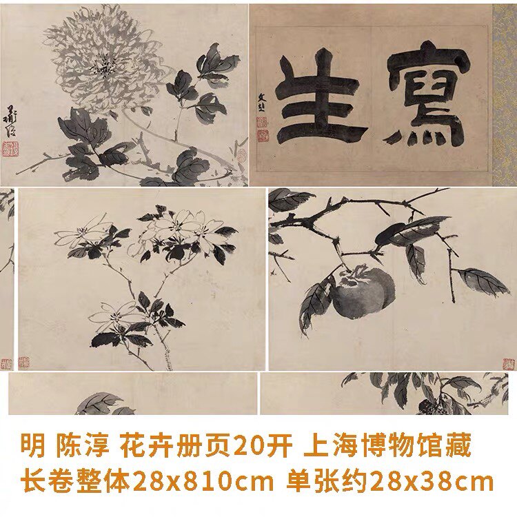 陈淳 写生花卉册20开 明代名画中国画水墨写意花鸟画复制品画稿