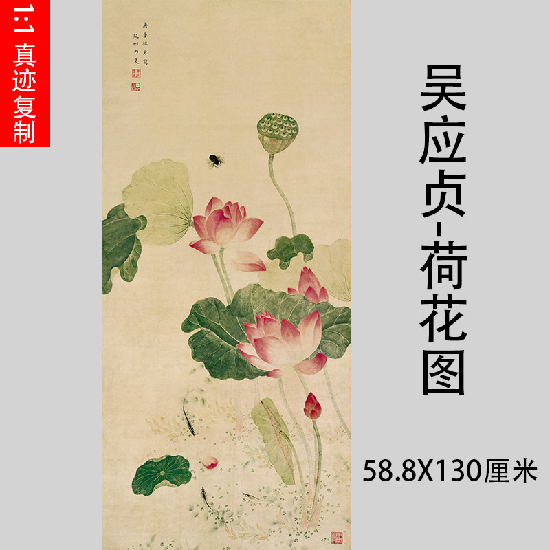 吴应贞-荷花图高清微喷临摹绢布画稿传统工笔花卉装饰画挂轴装裱