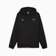 F1® PUMA 阿斯顿·马丁阿美 夹克运动外套x 车队连帽春秋 彪马男士