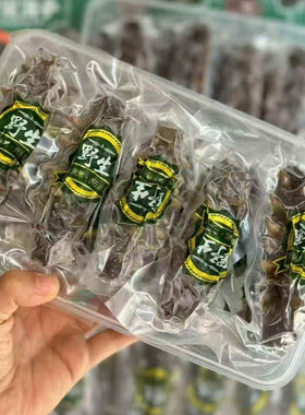 野生鲜活即食海参大连泡发好的深海底捞冷冻辽刺参开袋速食