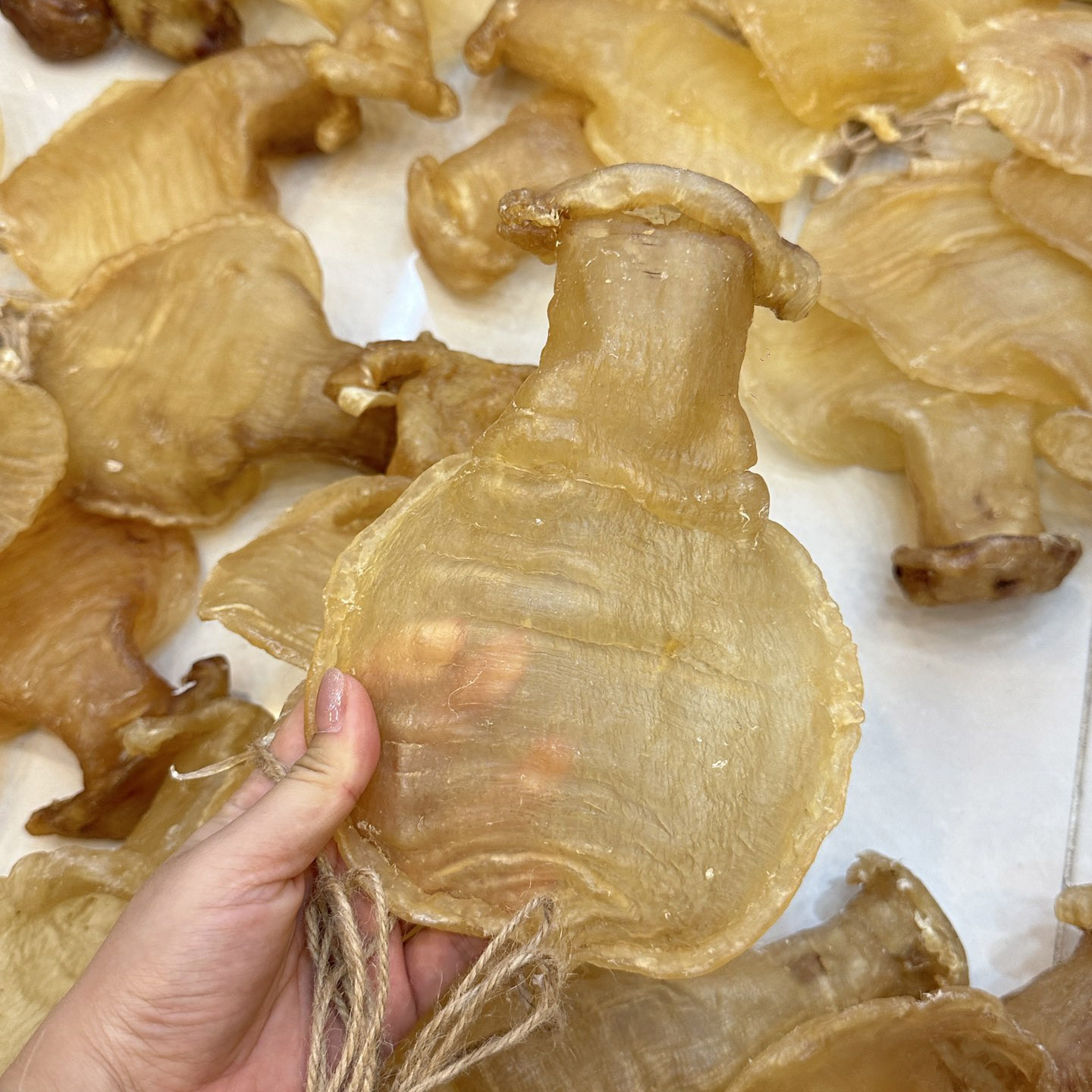 石肚赤嘴公肚深海鳘鱼胶孕妇月子花胶/鱼胶及其制品