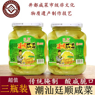 460g廷顺咸菜口杂咸地酸菜特产咸菜泡菜小菜腌制都新鲜酱菜潮汕
