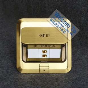 特价！铜地插 国伦地插 二柱音响(带地盒)