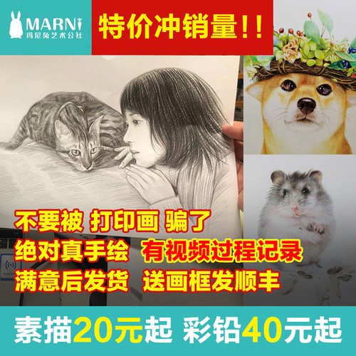 宠物画像定制猫猫素描画像彩铅代画狗狗肖像画头像照片纪念礼物