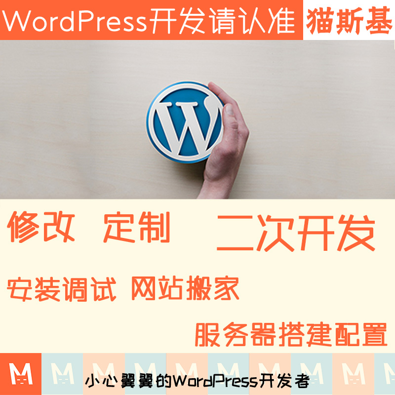 wp主题开发 wp模板主题开发 wordpress插件定制开发猫斯基