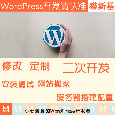 wp主题开发 wp模板主题开发 wordpress插件定制开发 猫斯基