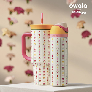 美版 保温杯带吸管便携FreeSip双饮盖不锈钢杯32oz Owala条纹花朵款