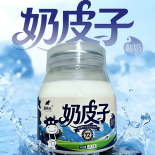 空运直达包邮新疆菌牧元特产伊犁手工奶皮子酸奶251奶皮子酸奶