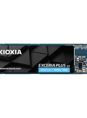 铠侠VD10   M.2 NVME PCIE5.0读写速度10000/7900 SSD固态硬盘