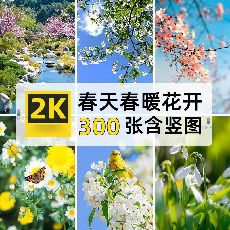 高清4k竖图片春天海棠面朝大海春暖花开自媒体ps设计壁纸素材