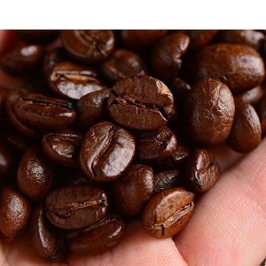 云南小粒咖啡豆500g阿拉比卡练习豆新鲜中度烘焙咖啡厅装饰拉花用