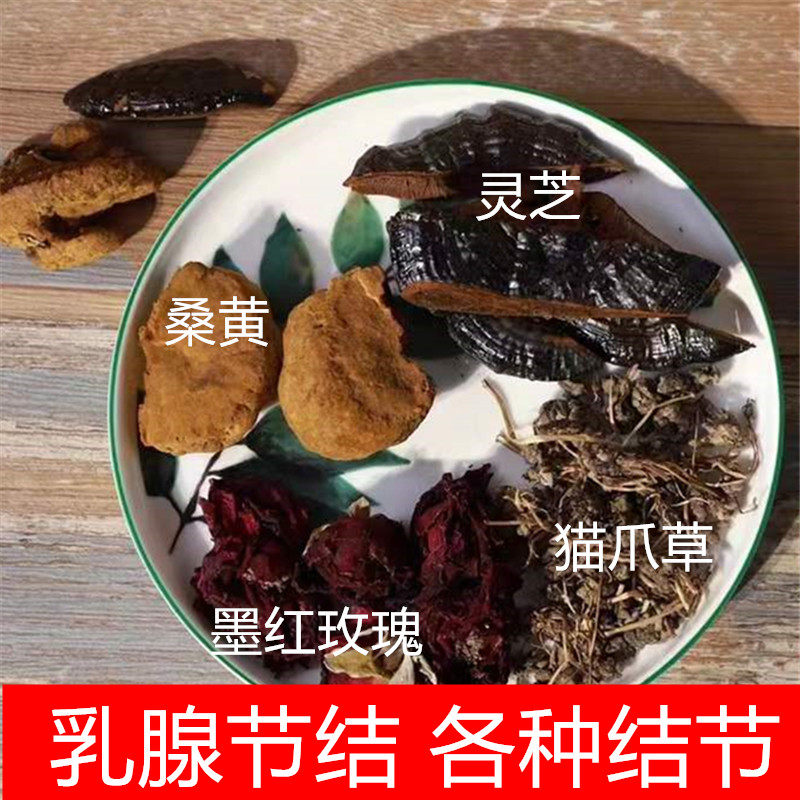 桑黄灵芝玫瑰花饮结节茶猫爪草墨红玫瑰桑黄灵芝水各种结节