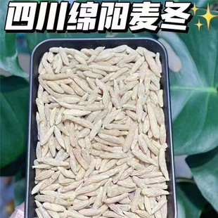 四川绵阳麦冬清热败火麦冬宝宝可喝无花果干麦冬无花果汤润便去燥