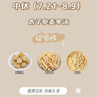 三伏天汤包中伏儿童消化不吸收不长肉不长个炖汤料太子参宝宝煲茶