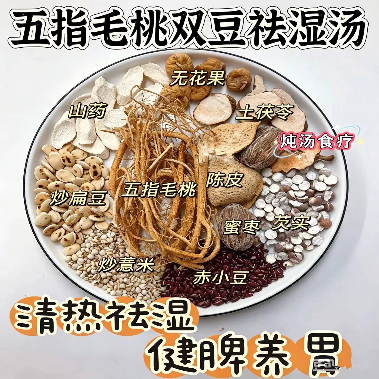 五指毛桃双豆祛湿汤包清热祛湿健脾养胃痰多湿气重困无力齿痕化湿