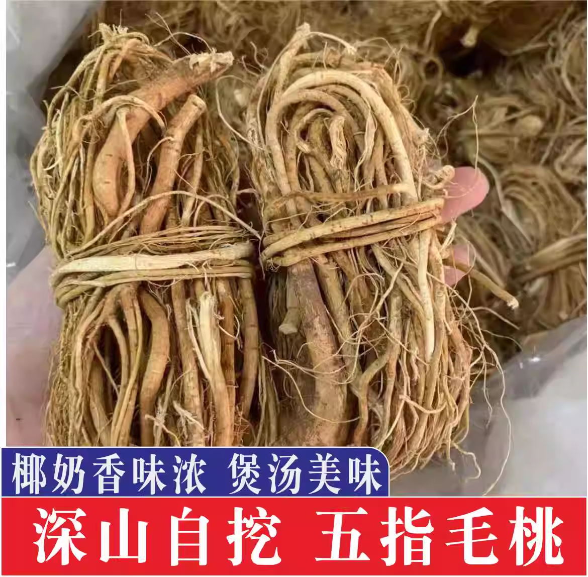 五指毛桃河源新鲜五爪龙牛奶根土茯苓煲汤五指毛桃炖汤干货500g