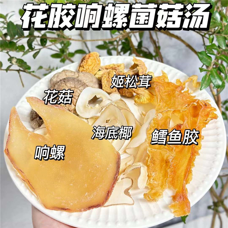 花胶响螺肉汤海底椰花菇姬松茸滋补炖鸡鸽子汤包鱼胶菌菇汤材料包