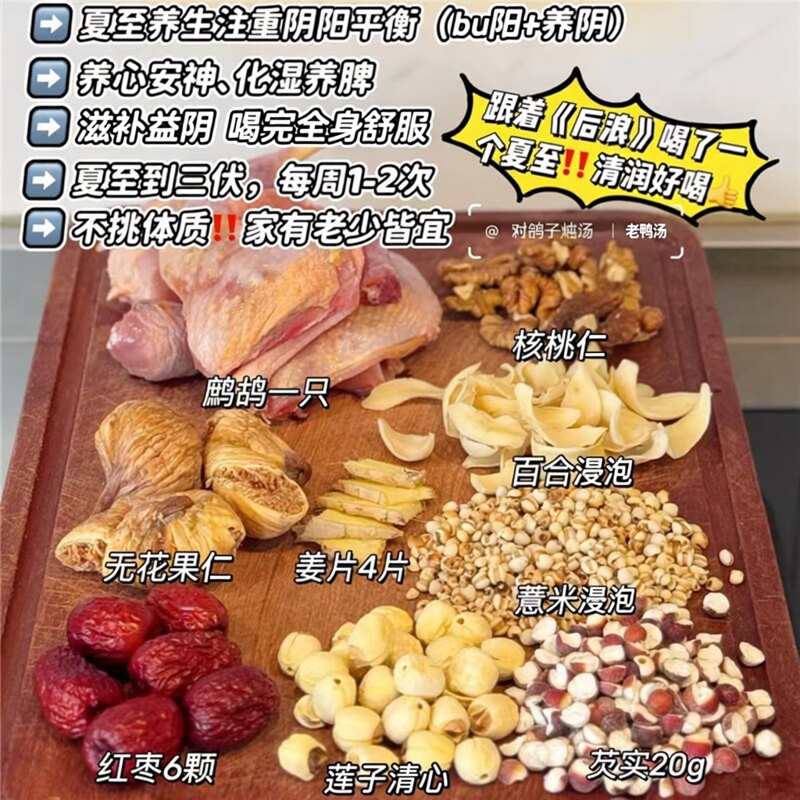 夏至三伏天养生汤老鸭鸽子鹧鸪炖汤温润平和扶阳汤消暑静心安神汤