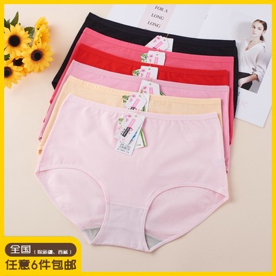 新姿态富姐风特大码吸湿三角裤头