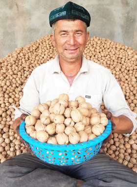 正宗新疆阿克苏185纸皮核桃2025新货孕妇专用核桃薄皮袋装特产