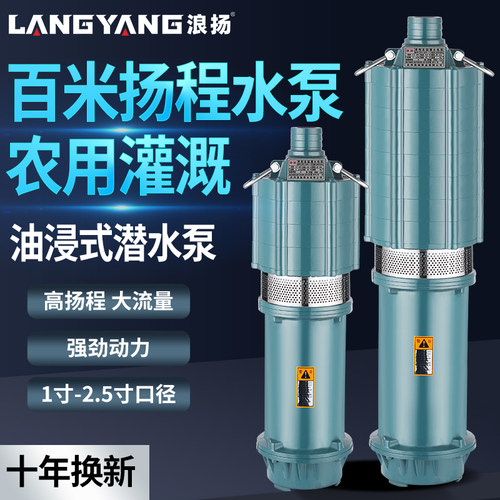 浪扬电动1-2.5寸大流量潜水泵