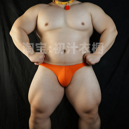 男士内裤纯色小三角冰丝内裤