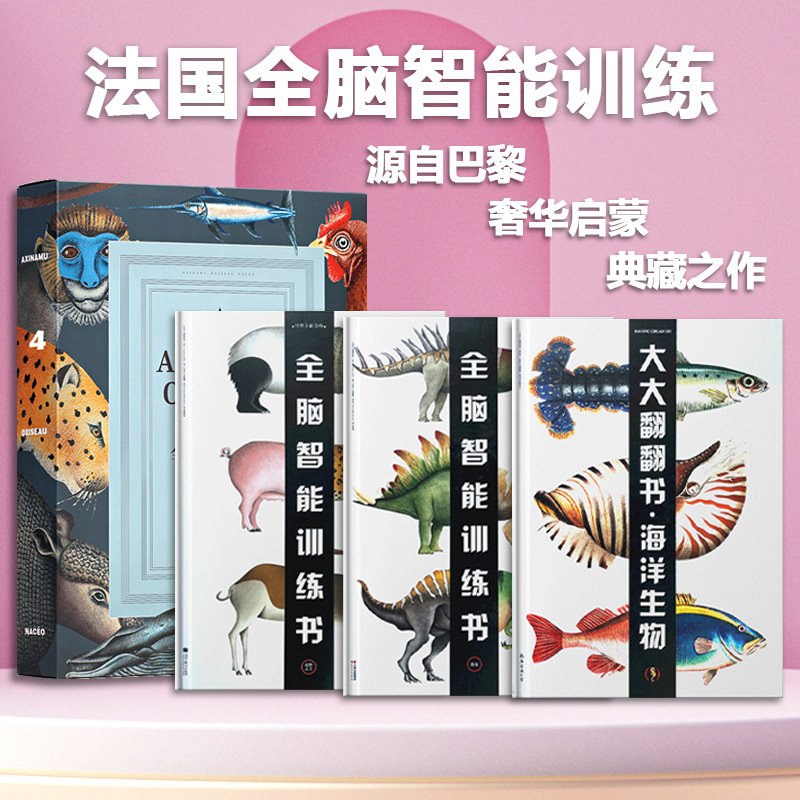 超大翻翻书礼盒纸贵满堂法国引进