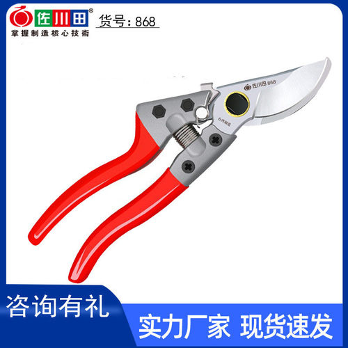 佐川田868修枝剪刀粗枝剪果树剪园林工具盆景剪刀修花省力剪子SK5