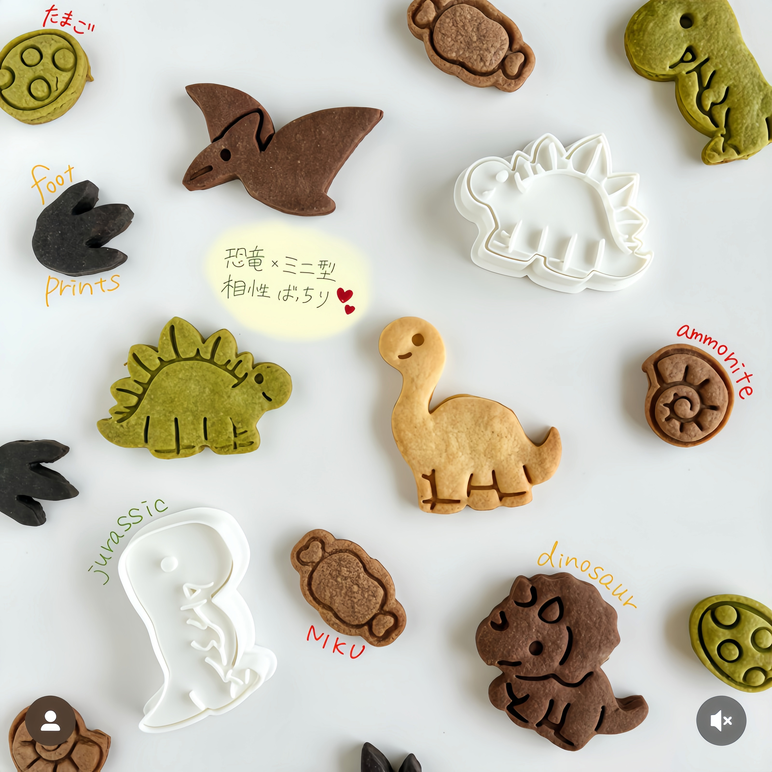 食用级PLA塑料模具恐龙足迹