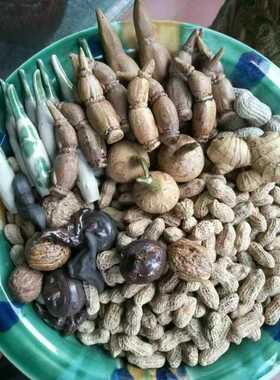 陶瓷马蹄莲红枣供奉道具摆件