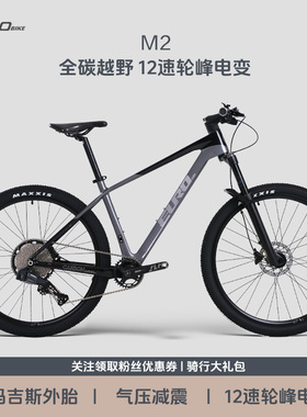 EURO/欧拜克M2碳纤维内走线线控前叉电变山地自行车油碟山地单车