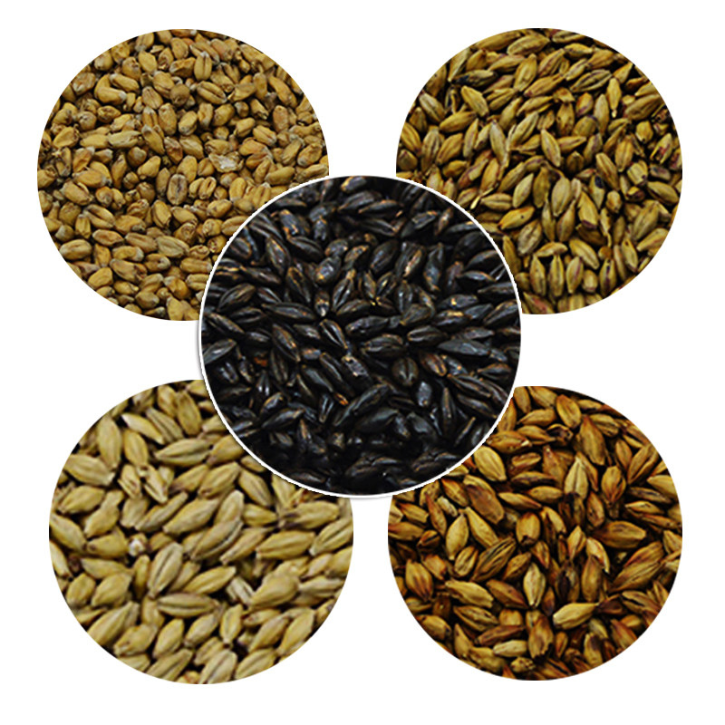 自酿啤酒澳洲大麦芽淡色艾尔麦芽小麦芽结晶麦芽黑麦芽烘焙烤麦芽