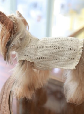 宠物狗狗猫咪秋冬毛衣小型犬约克夏马尔济斯比熊保暖针织羊毛背心