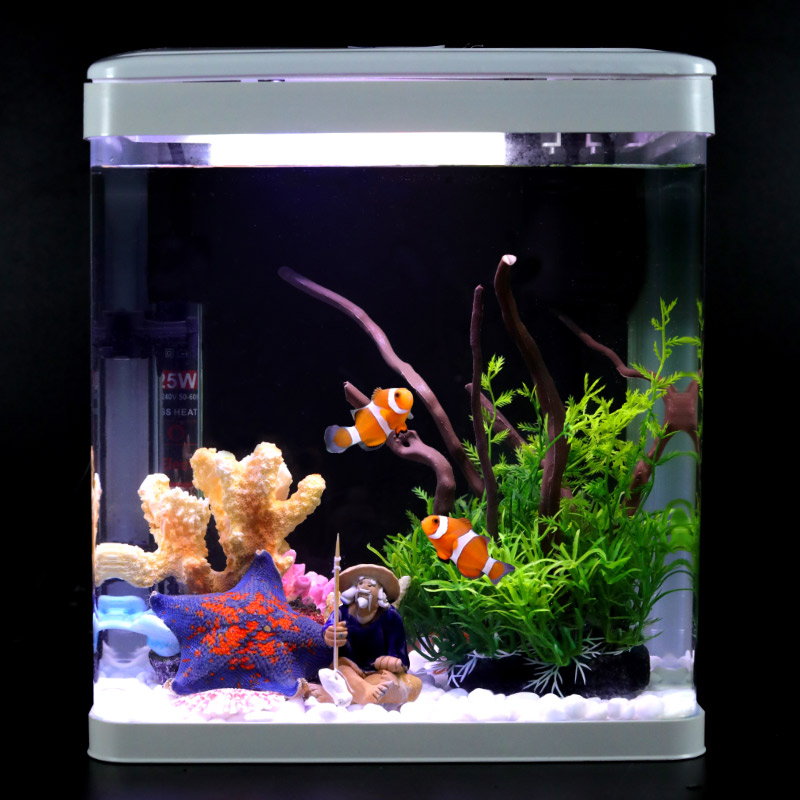 小丑鱼鱼缸观赏鱼活鱼生态缸办公室小型海水缸造景桌面客厅水族箱