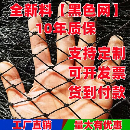 家禽养殖网防护网尼龙网护栏网养鸡围网植物爬藤网果园大棚防鸟网
