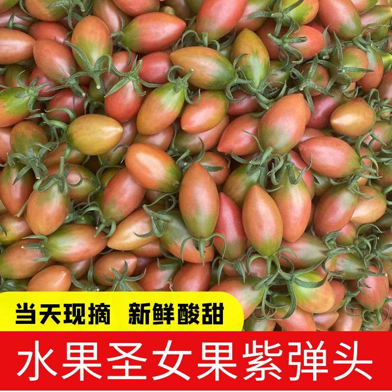 当季圣女果紫弹头迷彩小番茄西红柿现摘现发儿童孕妇水果整包邮,水产肉类/新鲜蔬果/熟食,番茄,淘宝优惠券,粉丝福利购,淘宝优惠卷