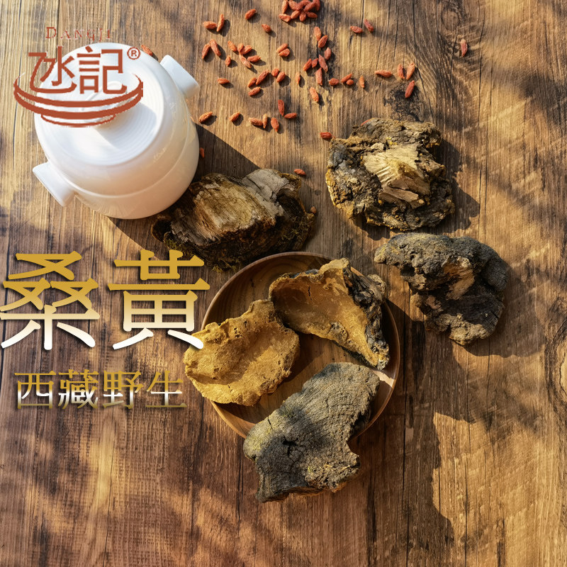 澳門氹記 西藏野生桑黄桑树灵芝正品250g