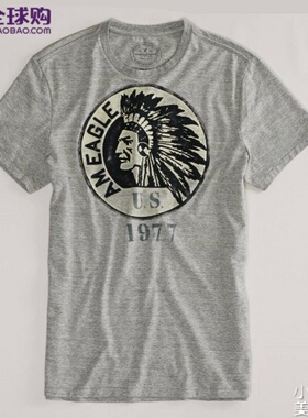 美国正品 American Eagle/AE美国鹰 男士休闲酋长头像圆领短袖T恤