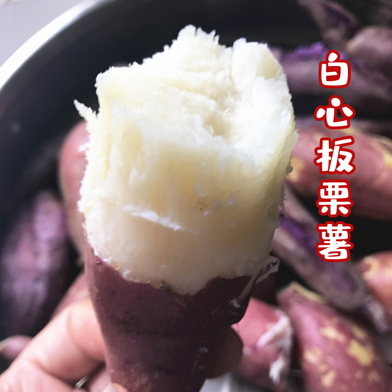 白心红薯河南南阳粉糯香甜板栗薯