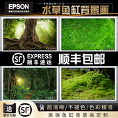 鱼缸背景画爬宠背景鱼缸壁纸角蛙缸背景水草缸背景板草地造景贴纸