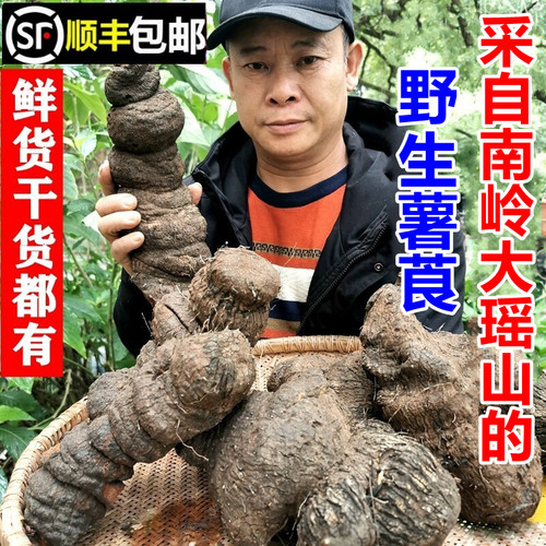 南岭野生薯莨鸡血莲药材顺丰包邮