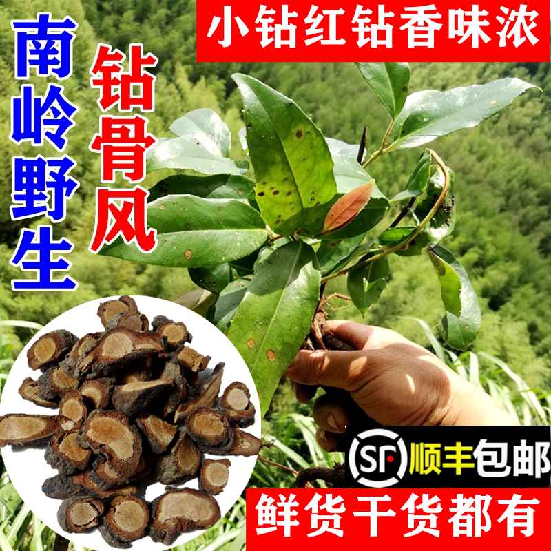 顺丰包邮野生黑老虎根过山风钻骨风小钻五香血藤钻地风干货中药材