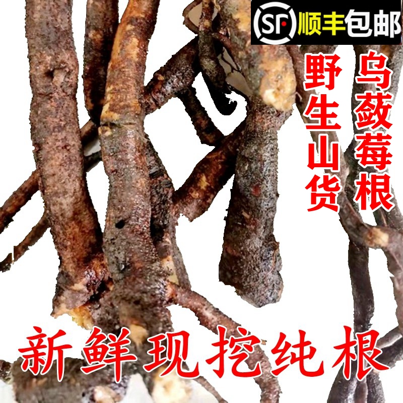 顺丰包邮南岭野生乌蔹莓根新鲜五叶藤五爪龙母猪藤根天然中药材